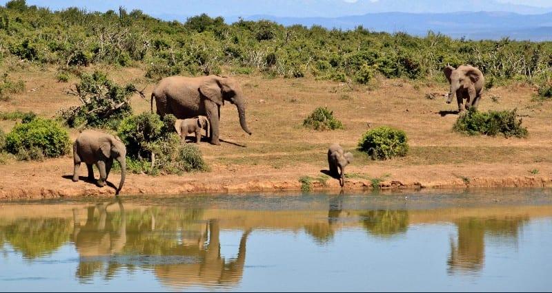 Gbelle Game Reserve