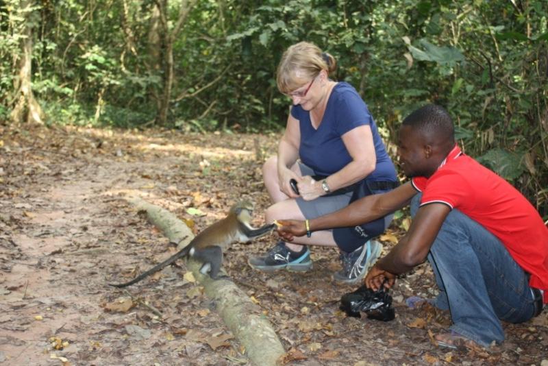 Tafi Atome Monkey Sanctuary